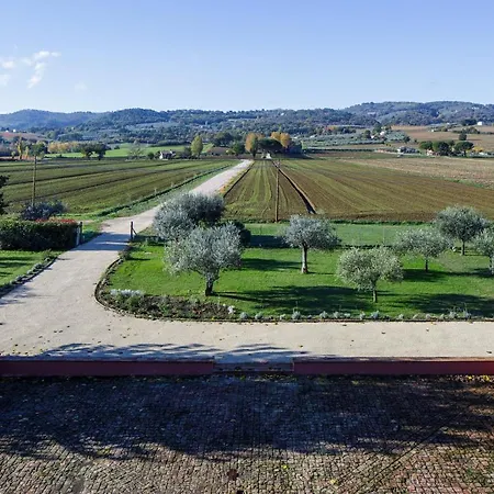 Seipetali アパートホテル 4*