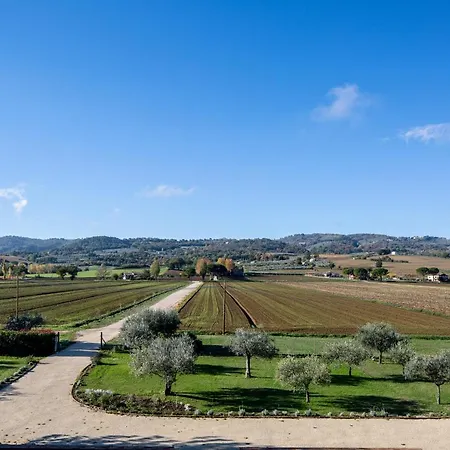 アパートホテル Seipetali 4*